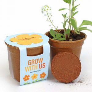 Flower Power Seed Paper Sprouter Kit