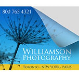 60lb slit back label / Stickers